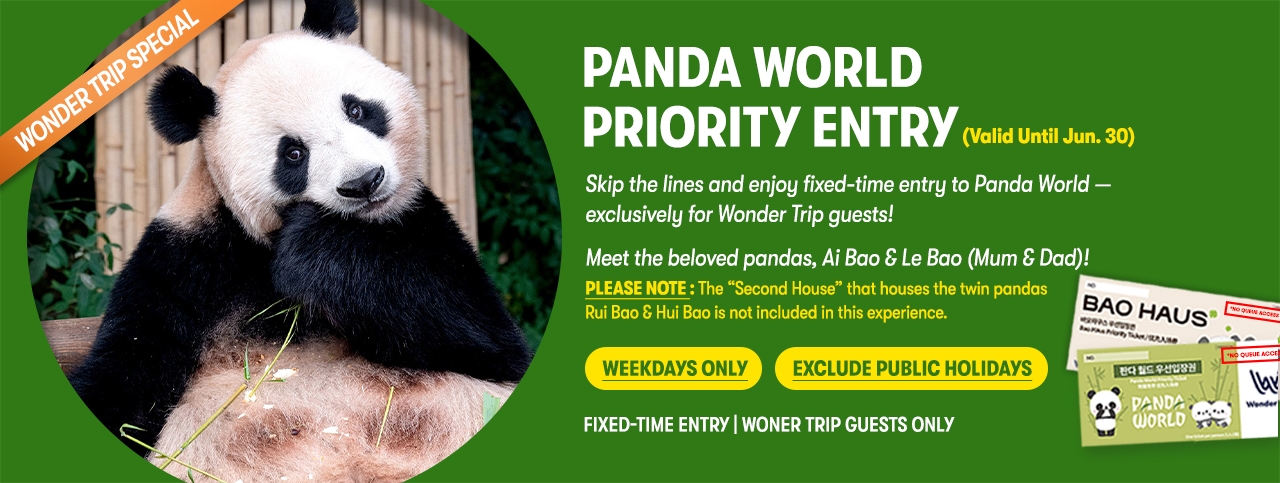 Everland Tour with Shuttle: Fast Panda World Entry ( Until 30 Jun 2026 )